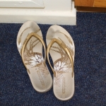 Cleaning Day ~ Jade's shoes got left behind ~ 5 April 2014 (640x427)