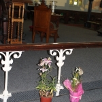 Cleaning Day ~ Toilet plants closer to fresh air ~ 5 April 2014 (427x640)