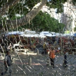 shattered-glass-door-on-longmarket-street-2-480x640