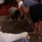 spring-cleaning-after-painting-21-may-2011-66-640x480