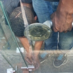 tudor-hotel-door-12-480x640