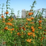 fun-walk-2011-10-640x480