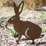 fun-walk-2011-11-640x480