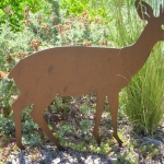 fun-walk-2011-13-640x480