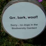 fun-walk-2011-23-640x480