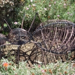 fun-walk-2011-24-640x480