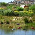 fun-walk-2011-4-640x480