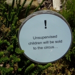 fun-walk-2011-49-640x480