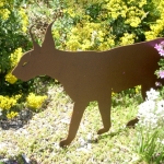 fun-walk-2011-52-640x480