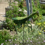 fun-walk-2011-57-640x480