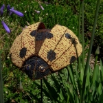 fun-walk-2011-61-640x480