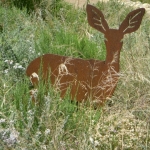 fun-walk-2011-62-640x480