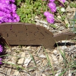 fun-walk-2011-65-640x480