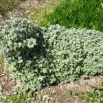 fun-walk-2011-7-640x480