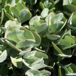 fun-walk-2011-8-640x480