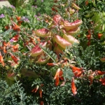 fun-walk-2011-9-640x480