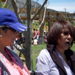 fun-walk-2011-90-640x480