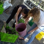 heaven-garden-launch-1-november-2012-108-640x480