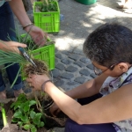 heaven-garden-launch-1-november-2012-110-640x480