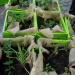 heaven-garden-launch-1-november-2012-115-480x640