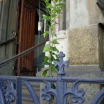 heaven-garden-launch-1-november-2012-149-480x640