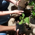 heaven-garden-launch-1-november-2012-164-480x640