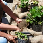 heaven-garden-launch-1-november-2012-165-480x640