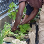 heaven-garden-launch-1-november-2012-168-640x480