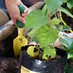 heaven-garden-launch-1-november-2012-172-480x640