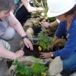 heaven-garden-launch-1-november-2012-174-480x640