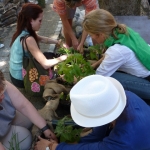 heaven-garden-launch-1-november-2012-175-480x640