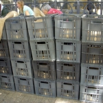 heaven-garden-launch-1-november-2012-18-640x480