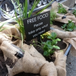 heaven-garden-launch-1-november-2012-180-480x640