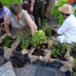 heaven-garden-launch-1-november-2012-185-640x480