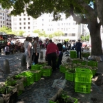 heaven-garden-launch-1-november-2012-217-480x640