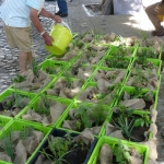 heaven-garden-launch-1-november-2012-219-480x640