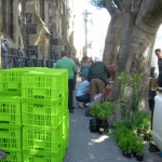 heaven-garden-launch-1-november-2012-7-640x480