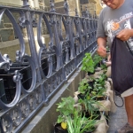 heaven-garden-launch-1-november-2012-79-480x640