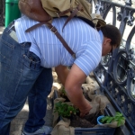 heaven-garden-launch-1-november-2012-81-480x640