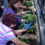 heaven-garden-launch-1-november-2012-84-480x640