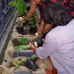 heaven-garden-launch-1-november-2012-86-480x640