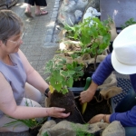 heaven-garden-launch-1-november-2012-96-640x480