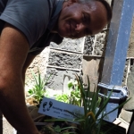 methodist-church-planting-c-stephen-lamb-oct-2012-all-rights-reserved-touching-the-earth-lightly-103-of-156