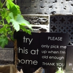 methodist-church-planting-c-stephen-lamb-oct-2012-all-rights-reserved-touching-the-earth-lightly-104-of-156