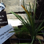 methodist-church-planting-c-stephen-lamb-oct-2012-all-rights-reserved-touching-the-earth-lightly-106-of-156