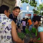 methodist-church-planting-c-stephen-lamb-oct-2012-all-rights-reserved-touching-the-earth-lightly-109-of-156