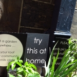 methodist-church-planting-c-stephen-lamb-oct-2012-all-rights-reserved-touching-the-earth-lightly-111-of-156