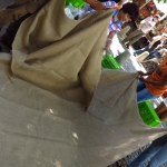 methodist-church-planting-c-stephen-lamb-oct-2012-all-rights-reserved-touching-the-earth-lightly-112-of-156