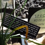 methodist-church-planting-c-stephen-lamb-oct-2012-all-rights-reserved-touching-the-earth-lightly-120-of-156_0