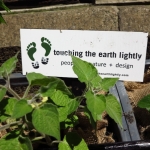 methodist-church-planting-c-stephen-lamb-oct-2012-all-rights-reserved-touching-the-earth-lightly-124-of-156